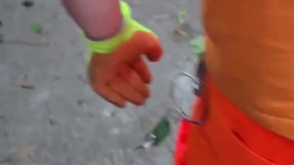 پاکبان ناجی راکون‌های ولگرد شد - اسپوتنیک ایران  