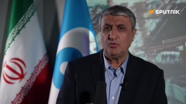 اسلامی به اسپوتنیک: محکوم نکردن حملات اسراییل، بی اعتمادی ایجاد می کند - اسپوتنیک ایران  