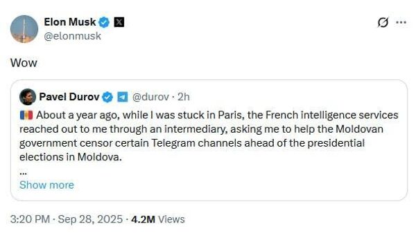 واکنش ماسک به افشاگری پاول دوروف درباره فشار فرانسه و مولداوی برای سانسور کانال‌های تلگرام پیش از - اسپوتنیک ایران  