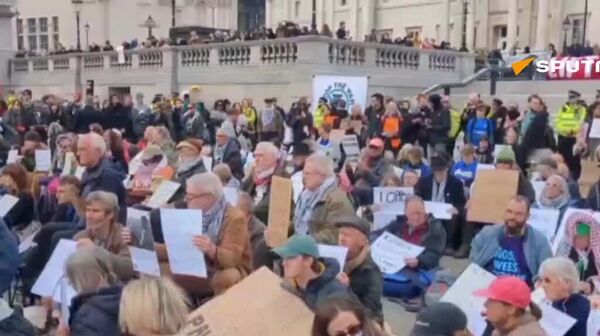 خبرنگار اسپوتنیک: پلیس بریتانیا ده‌ها نفر را در تجمعی در مرکز لندن در حمایت از گروه ممنوعه «اقدام فلسطین» بازداشت کرد - اسپوتنیک ایران  