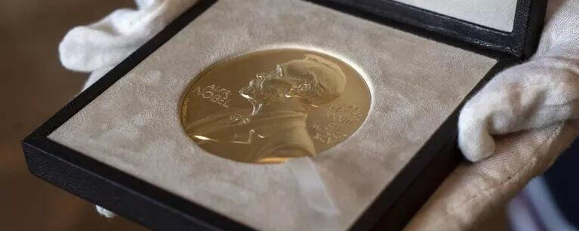 روزنامه‌نگار ونزوئلایی: جایزه صلح نوبل ماچادو «مقدمه‌ای بر تجاوز نظامی آمریکا» علیه ونزوئلا است - اسپوتنیک ایران  , 1920, 10.10.2025