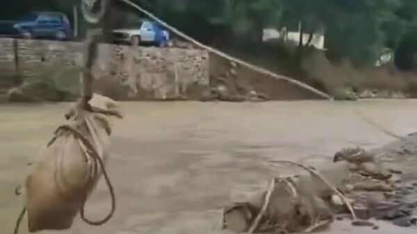 ابتکار جالب مردم برای نجات حیوانات در منطقه سیل زده مکزیک - اسپوتنیک ایران  