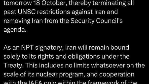 وزیر امور خارجه ایران: حقوق حاکمیتی ایران قابل مذاکره نیست - اسپوتنیک ایران  