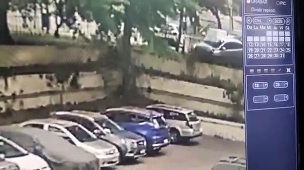 پارک کردن غیرمعمول و عالی با یک پشتک وارو زدن در هوا! - اسپوتنیک ایران  