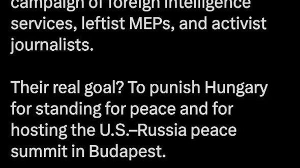 پست زولتان کواچ، سخنگوی رسمی دولت مجارستان در شبکه ایکس علیه سیاست اتحادیه اروپا - اسپوتنیک ایران  