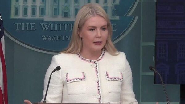 کاخ سفید: دیدار ترامپ و پوتین کاملاً منتفی نیست - اسپوتنیک ایران  