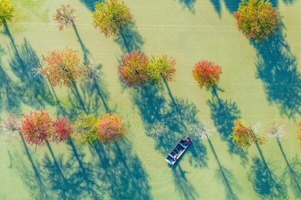 جالبترین رویدادهای هفته از نگاه تصویر از 18 تا 24 اکتبر جالبترین رویدادهای هفته از نگاه تصویر از 18 تا 24 اکتبر - اسپوتنیک ایران