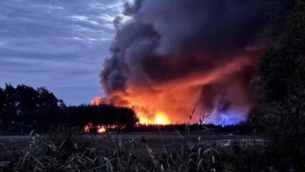 بیش از 150 هزار مرغ از مرغداری فالکوویتس لهستان در آتش سوختند - اسپوتنیک ایران  