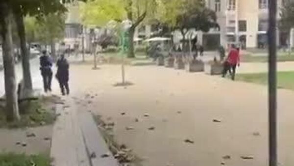 استفاده پلیس آلمان از شوکر و اسپری فلفل علیه دزد سیگار و آدامس - اسپوتنیک ایران  