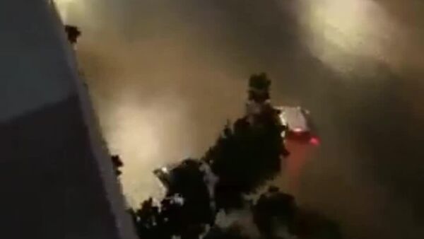 دیشب به دلیل طوفان گرمسیری ملیسا، سیل شدیدی در سانتو دومینگو، جمهوری دومینیکن رخ داد - اسپوتنیک ایران  