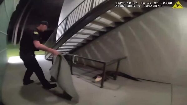 مأموران پلیس فلوریدا با دست خالی یک کروکودیل را از دمش گرفتند و با خود بردند - اسپوتنیک ایران  