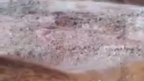 ▫سقوط یک یخچال طبیعی در تاجیکستان - اسپوتنیک ایران  