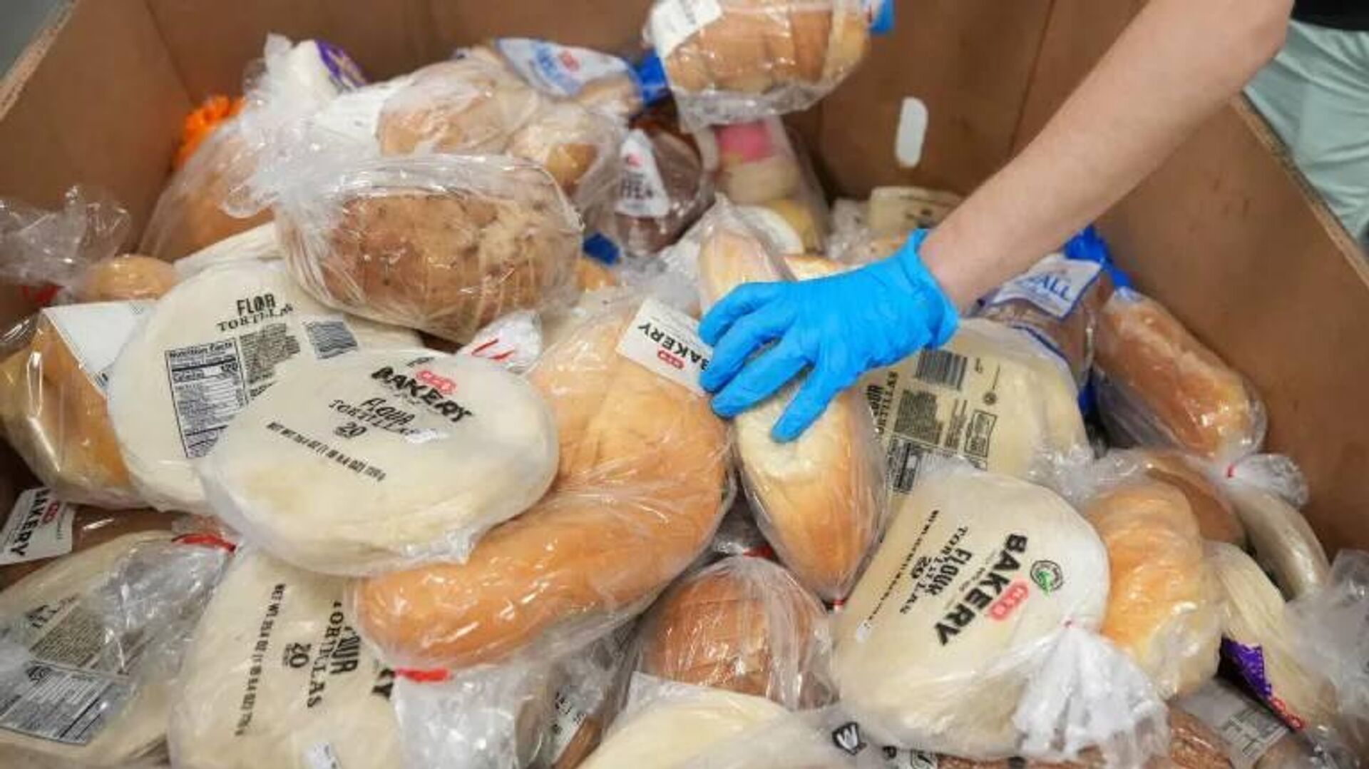 به دلیل تعطیلی دولت آمریکا، کمکهای غذایی فدرال رو به کاهش است و اکثر ایالتها قادر به ادامه کمک به نیازمندان نیستند به دلیل تعطیلی دولت آمریکا، کمکهای غذایی فدرال رو به کاهش است و اکثر ایالتها قادر به ادامه کمک به نیازمندان نیستند - اسپوتنیک ایران , 1920, 01.11.2025