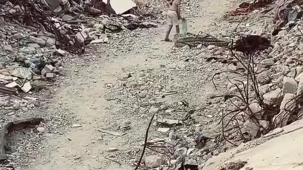 زندگی از ویرانی و تخریب قوی‌تر است - اسپوتنیک ایران  