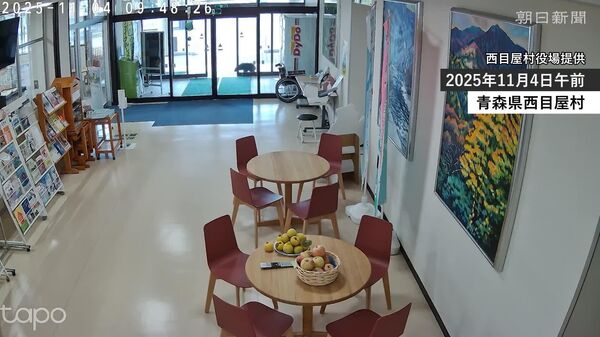 ورود توله خرس به یک ساختمان دولتی در ژاپن - اسپوتنیک ایران  