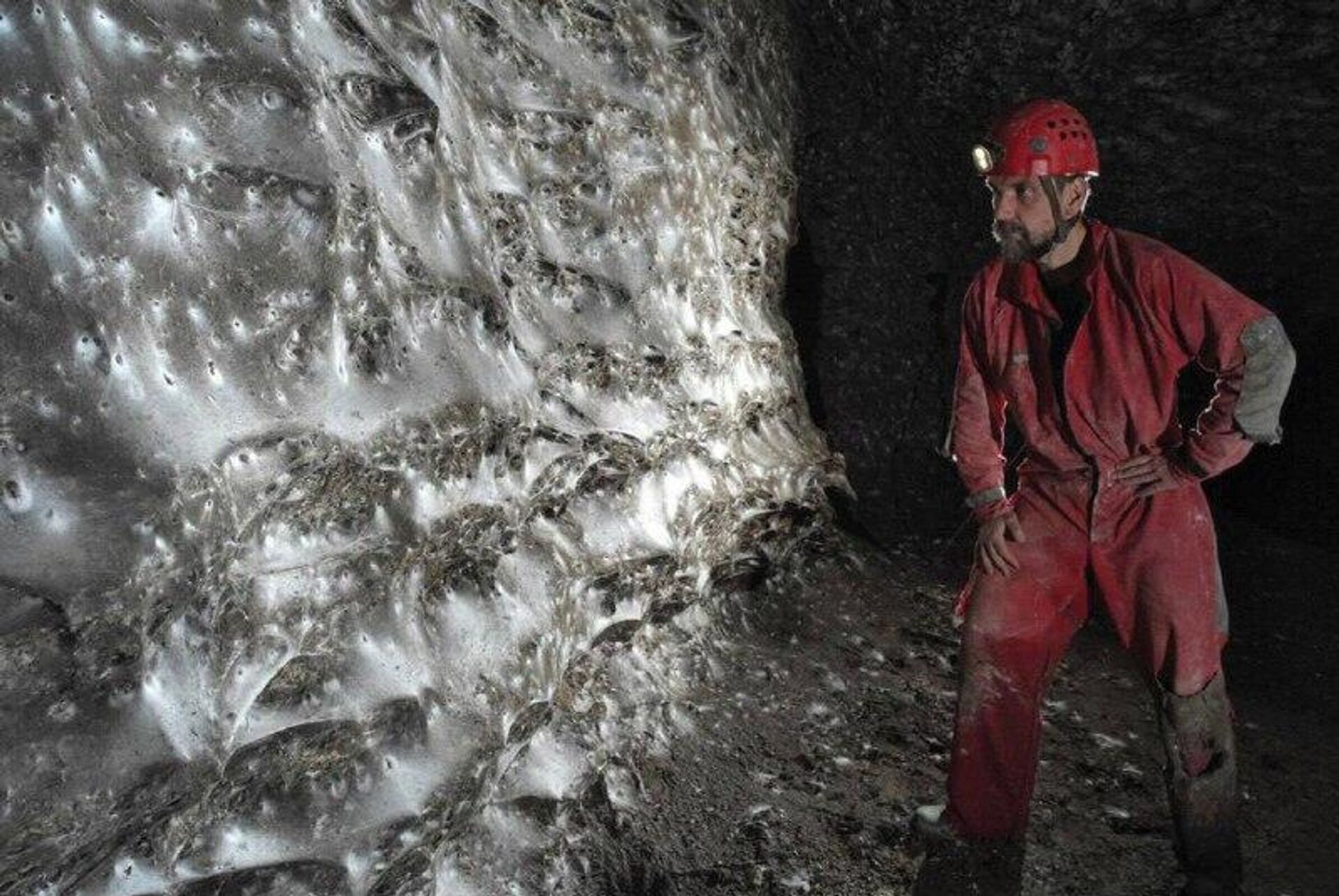 دانشمندان بزرگترین تار عنکبوت شناخته شده را کشف کرده‌اند - اسپوتنیک ایران  , 1920, 06.11.2025