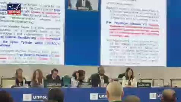 در نشست یونسکو، منشور حقوق بشر کوروش به‌عنوان یکی از نخستین منشور‌های حقوق بشر جهان به رسمیت شناخته شد - اسپوتنیک ایران  