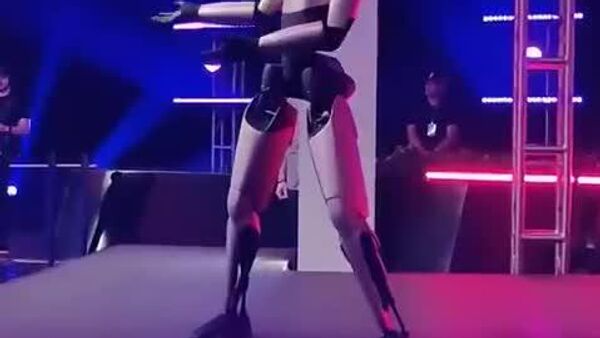 خوش رقصی ربات اپتیموس تسلا پس از اینکه ایلان ماسک جایزه مدیرعامل سال 2025 را از آن خود کرد - اسپوتنیک ایران  