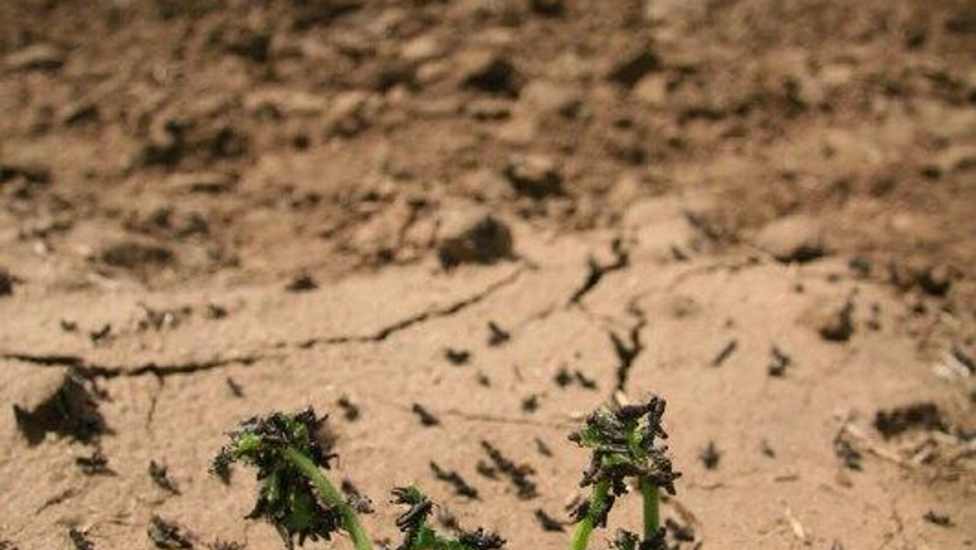 ایرانرود تنها راه نجات ایران ایرانرود تنها راه نجات ایران - اسپوتنیک ایران , 1920, 09.11.2025