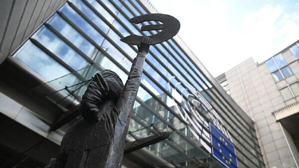 نماینده لوکزامبورگ در پارلمان اروپا برای شرکت در مجمع بریکس-اروپا به سوچی می‌رود - اسپوتنیک ایران  