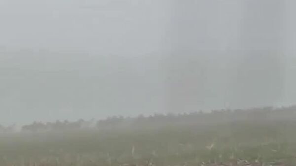 عبور گله ای گوزن ها از خیابانی در آلمان - اسپوتنیک ایران  