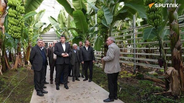 بازدید معاون دیپلماسی اقتصادی وزارت امور خارجه ایران از منطقه آزاد ارس - اسپوتنیک ایران  