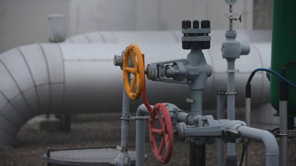 سیاستمدار آلمانی اعلام کرد که آلمان باید روابط اقتصادی خود را با روسیه از سر بگیرد - اسپوتنیک ایران  