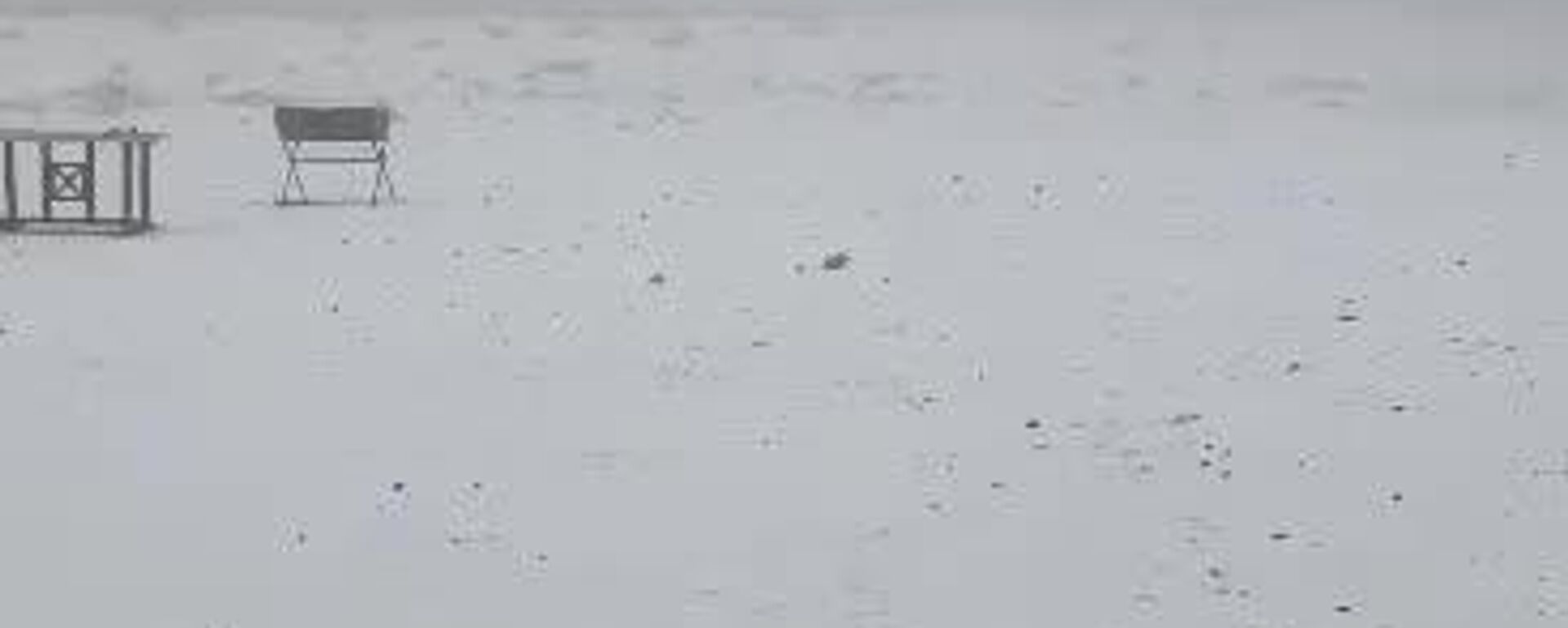 بارش برف در ارتفاعات تهران؛ ایستگاه 7 توچال - اسپوتنیک ایران  , 1920, 17.11.2025