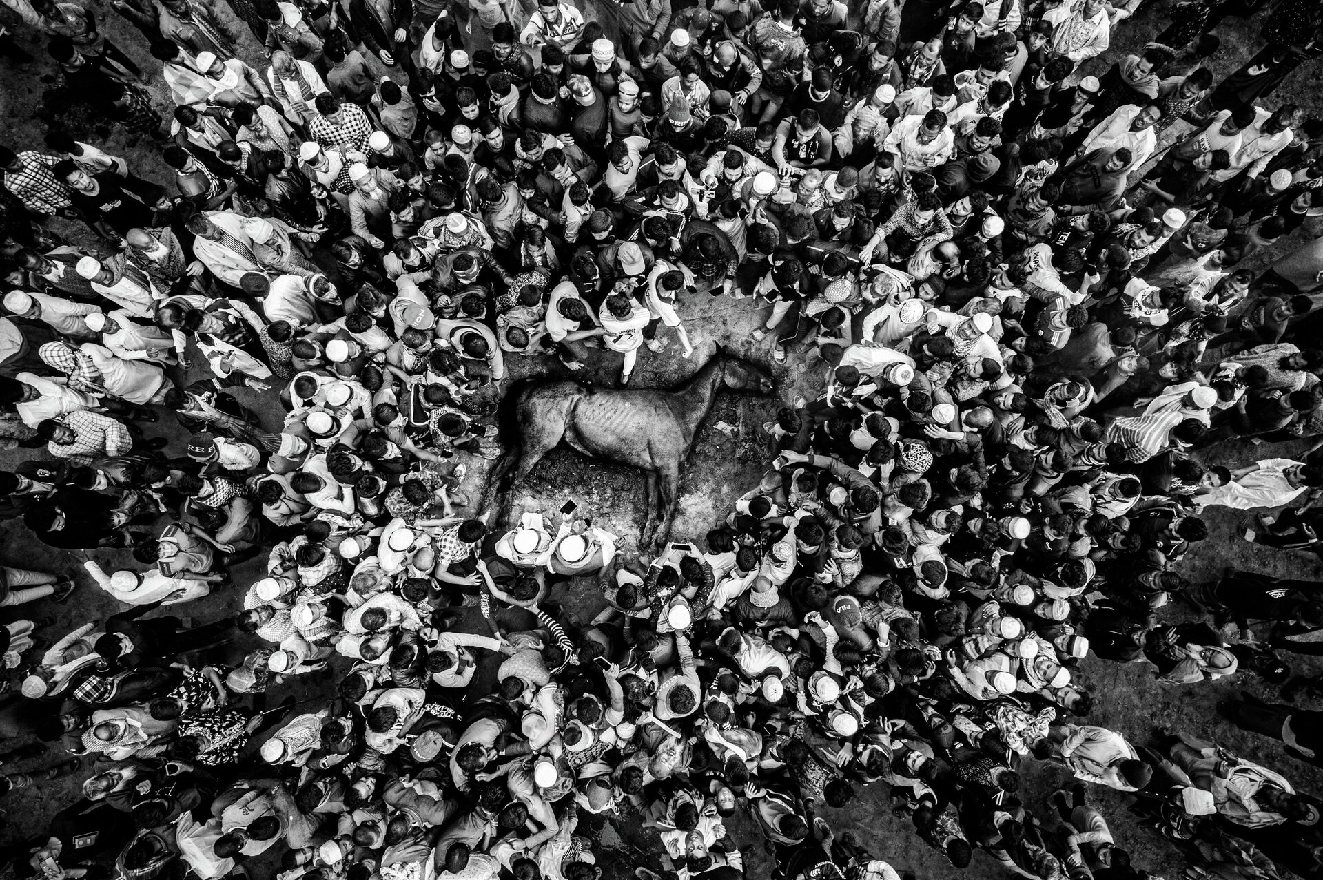 ХI Международный конкурс фотожурналистики имени Андрея Стенина ХI Международный конкурс фотожурналистики имени Андрея Стенина - اسپوتنیک ایران , 1920, 18.11.2025