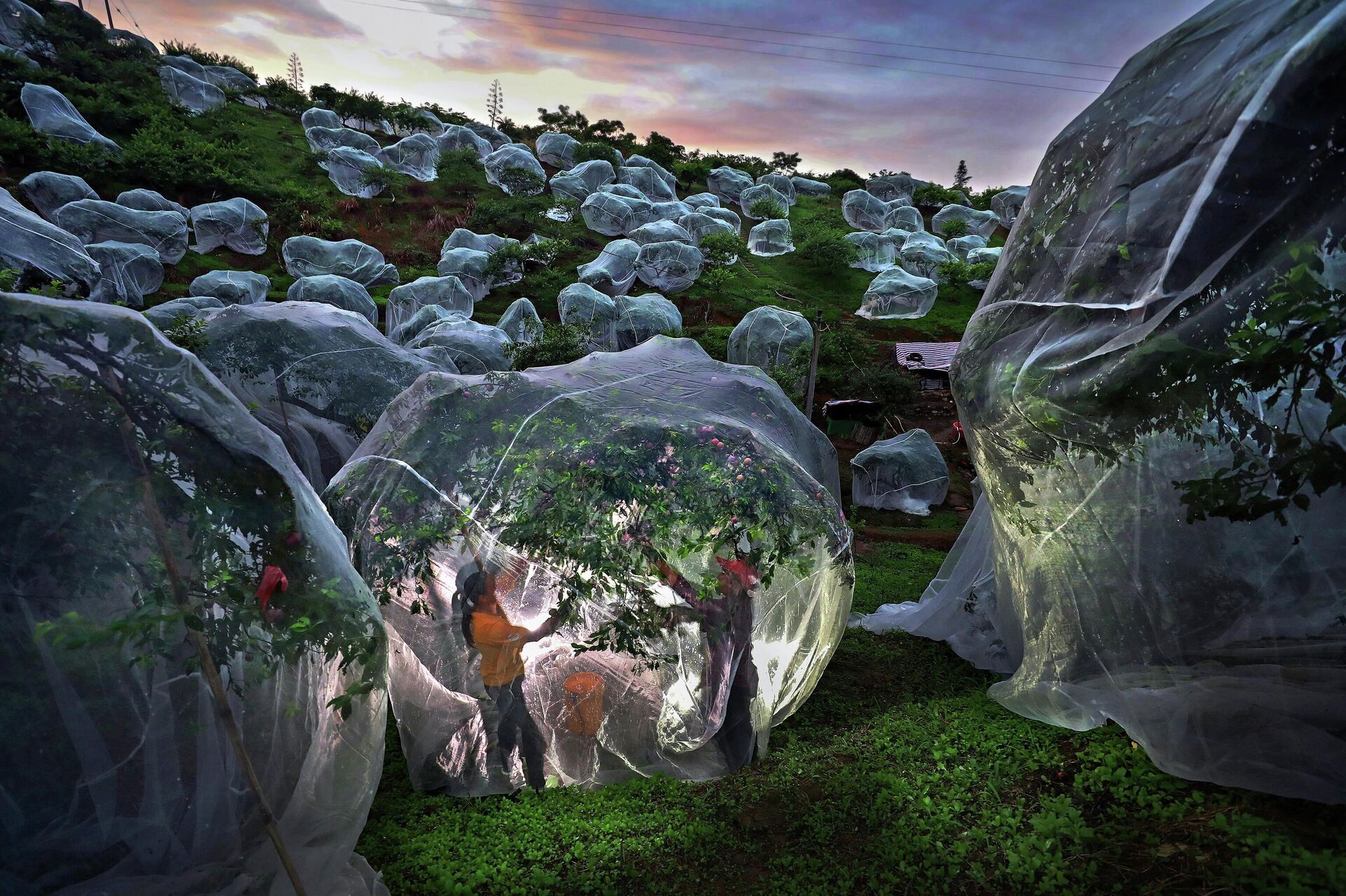 ХI Международный конкурс фотожурналистики имени Андрея Стенина ХI Международный конкурс фотожурналистики имени Андрея Стенина - اسپوتنیک ایران , 1920, 18.11.2025