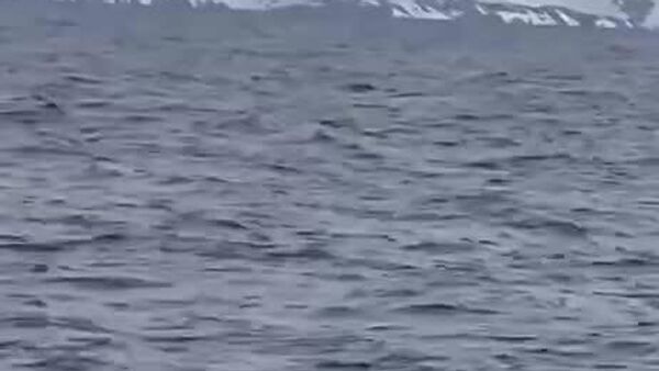 فئودور کونیوخوف، کاوشگر معروف روس عازم قطب جنوب شد - اسپوتنیک ایران  