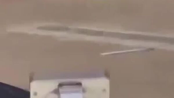 ورود غیرقانونی به باند فرودگاه کلن برای سوار شدن به هواپیما - اسپوتنیک ایران  