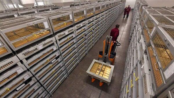 چگونه قمار طلای روسیه به ثمر نشست - اسپوتنیک ایران  