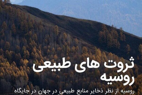 ارزش منابع طبیعی روسیه از 100 تریلیون دلار فراتر رفته است که تقریباً دو برابر ارزش ایالات متحده است - اسپوتنیک ایران  