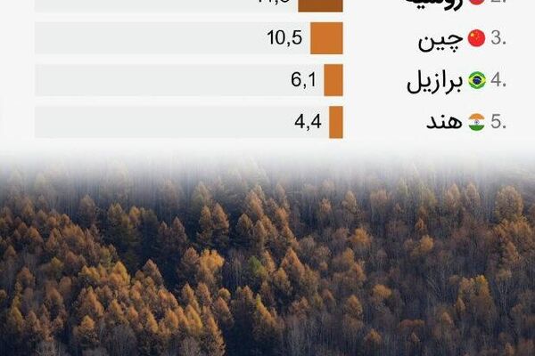 ارزش منابع طبیعی روسیه از 100 تریلیون دلار فراتر رفته است که تقریباً دو برابر ارزش ایالات متحده است - اسپوتنیک ایران  