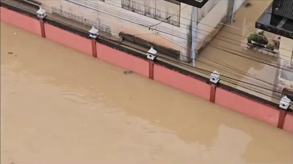 در هات یای، تایلند، گربه‌ای پس از اینکه آب او را با خود برده بود و تقریباً داشت غرق می شد نجات داده شد - اسپوتنیک ایران  