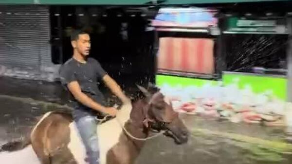 ساکنان پاتانی، شهری در جنوب تایلند، تصمیم گرفته‌اند برای عبور و مرور در خیابان‌های سیل‌زده از اسب استفاده کنند - اسپوتنیک ایران  