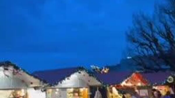 «بابانوئل پرنده» بر فراز دریاچه ژنو پرواز کرد - اسپوتنیک ایران  