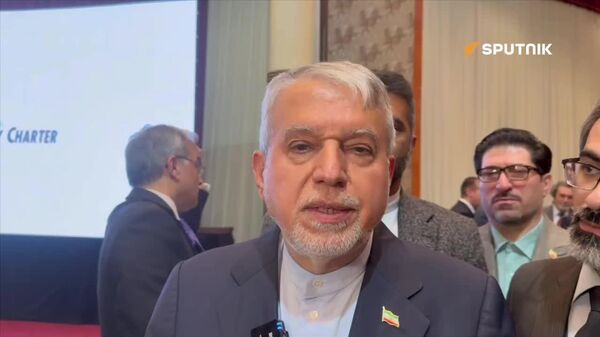 وزیر میراث فرهنگی ایران به اسپوتنیک: میراث فرهنگی حوزه اکو متعلق به همه ملت‌های منطقه است - اسپوتنیک ایران  