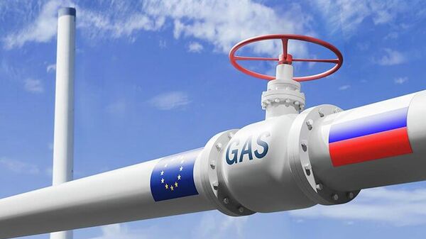 سارا واگنکنخت، تحریم کامل گاز ارزان روسیه توسط اتحادیه اروپا را دیوانگی خواند - اسپوتنیک ایران  