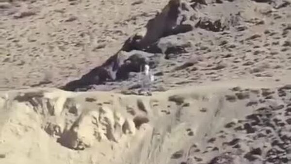 تصاویری که نشان می‌دهد، چین یک ربات را در امتداد مرز چین و هند برای نظارت بر نیروهای هندی مستقر کرده است - اسپوتنیک ایران  