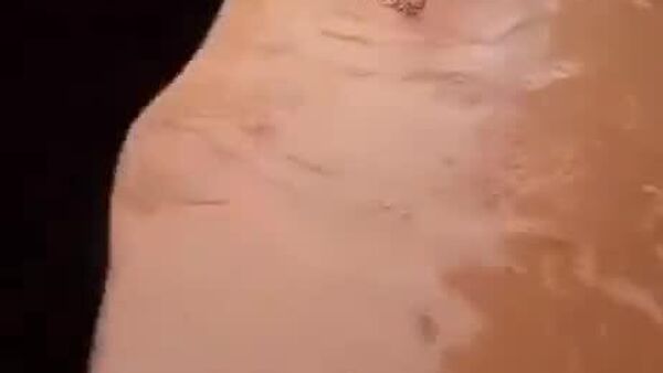 سریلانکا نه تنها با تلفات انسانی، بلکه با تلفات حیوانات نیز مواجه است - اسپوتنیک ایران  