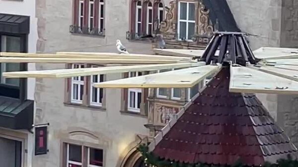 کبوترهای آلمانی از مراسم پیش از کریسمس در بازار هیلدسهایم لذت می‌برند - اسپوتنیک ایران  