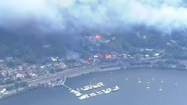 16 خانه در اثر آتش‌سوزی‌های شدید بوته‌زارها در سواحل میانی شمالی و مرکزی نیو ساوت ولز نابود شدند - اسپوتنیک ایران  