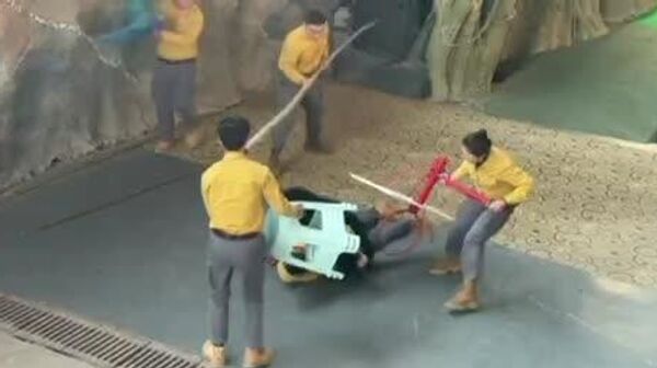 در پارک سافاری هانگژو چین، یک خرس سیاه به طور غیرمنتظره‌ای در طول نمایش به نگهبان خود حمله کرد - اسپوتنیک ایران  