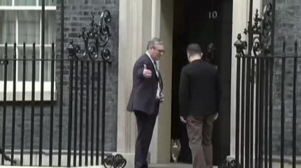 حتی گربه هم هنگام ورود زلنسکی به دفتر نخست‌وزیر بریتانیا، از ساختمان خارج شد - اسپوتنیک ایران  