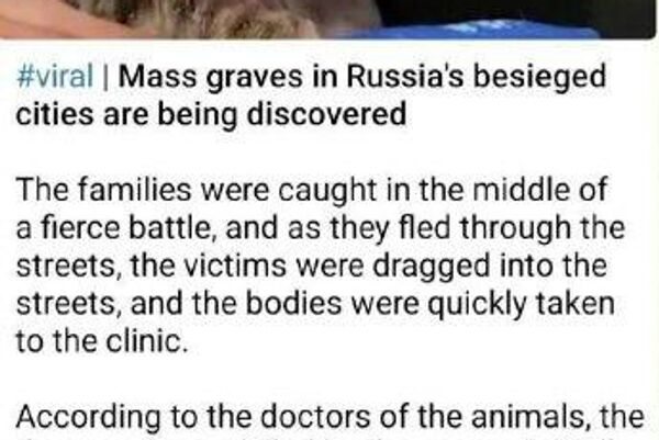 تلگرام شروع به تغییر معنی پست‌های کانال‌های اسپوتنیک ایران و اسپوتنیک اتیوپی به احساسات ضد روسی هنگام ترجمه خودکار به انگلیسی و روسی و تغییر متن پست‌ها به روسی پس از انتشار به آن زبان کرده است - اسپوتنیک ایران  