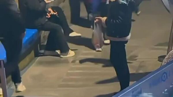 در چین، یک نهنگ بلوگا سیگار یک بازدید کننده را با پاشیدن آب خاموش کرد - اسپوتنیک ایران  