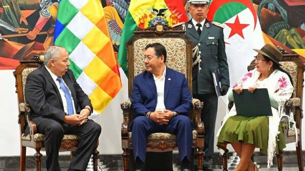 رئیس‌جمهور سابق بولیوی دستگیر شد - اسپوتنیک ایران  