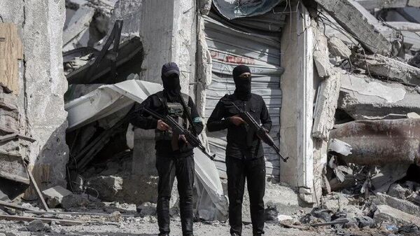 مصر مدل ایرلند شمالی را برای خلع سلاح غزه پیشنهاد می‌دهد - اسپوتنیک ایران  